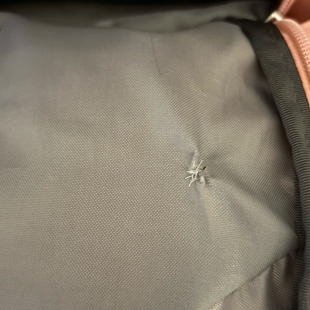 Used North face Jester Backpack Shady Rose Dark Heather/Gardenia White - Picture 4 of 6